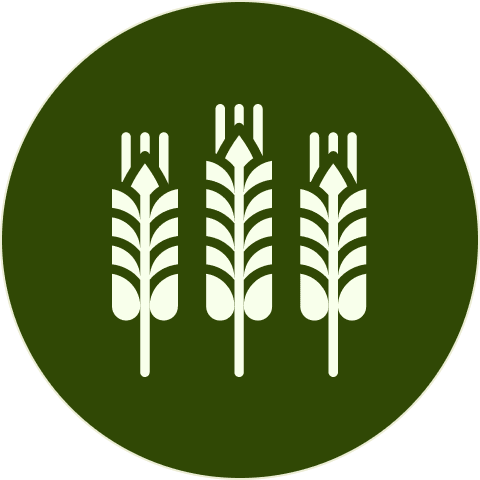 100% whole foods
